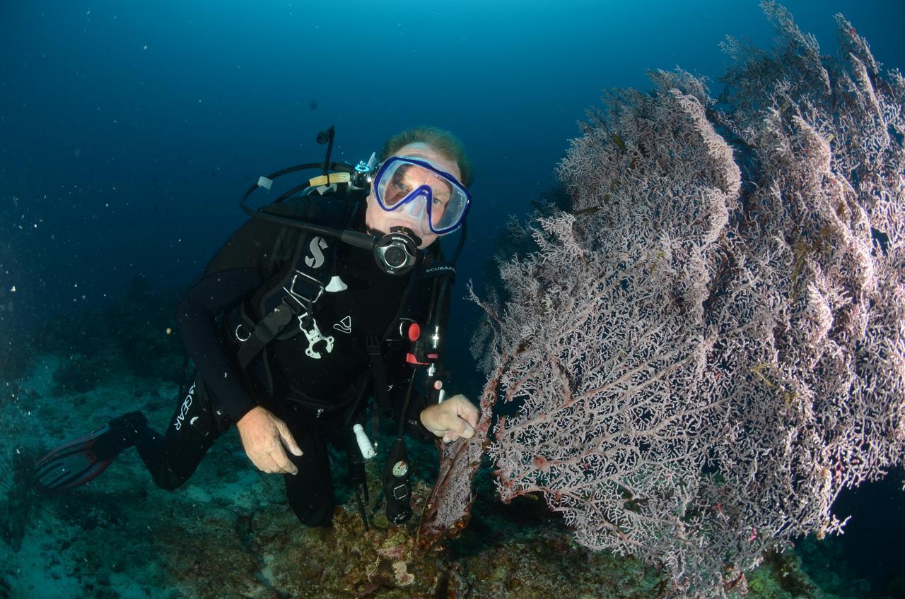 Cabilao Sunset Dive & Beach Resort Loon Екстериор снимка